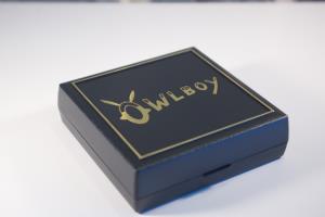 Owlboy Edition Collector (39)